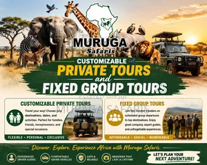 Tour and Safaris Africa