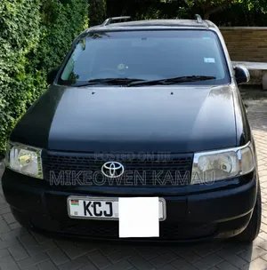 Toyota Probox 2009 Black