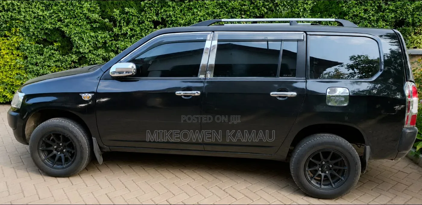 Toyota Probox 2009 Black