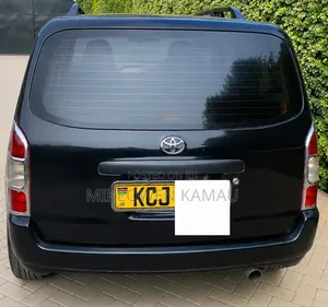 Toyota Probox 2009 Black