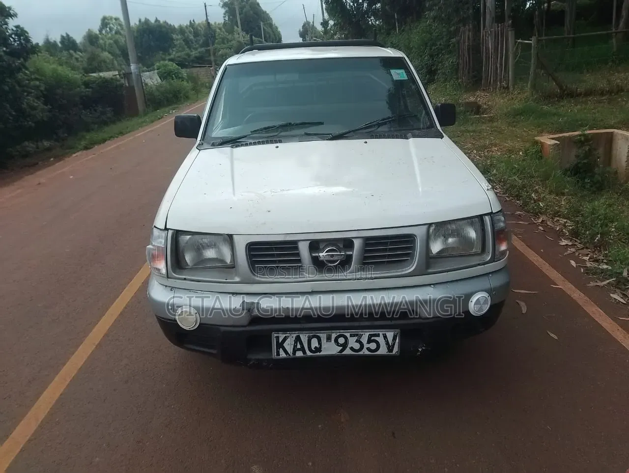 Nissan Hardbody 2005 White