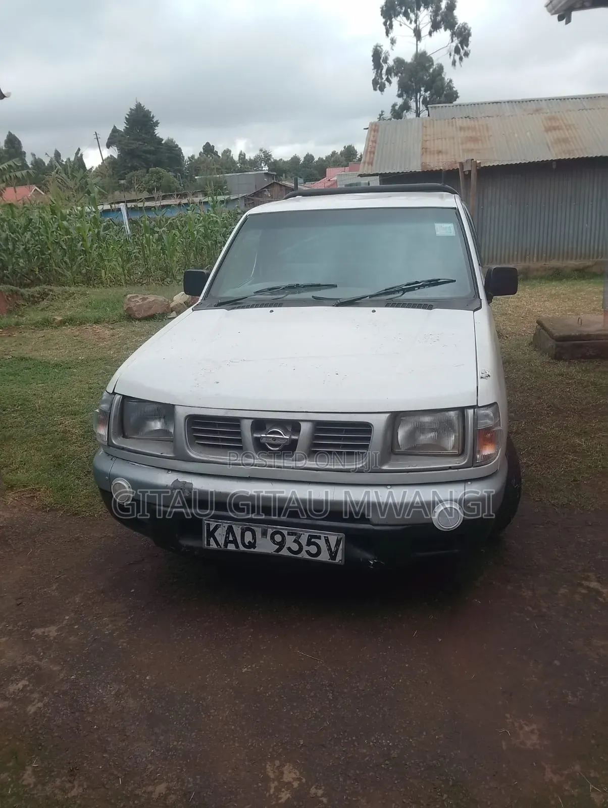 Nissan Hardbody 2005 White