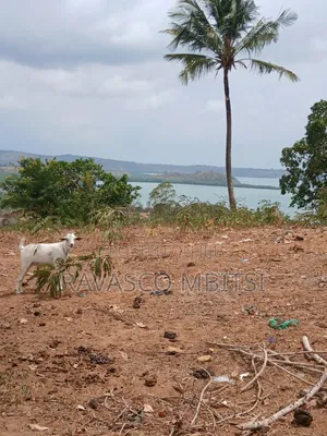 50 Acres Forsale in Kilifi Near to Mandarin Beach Resort