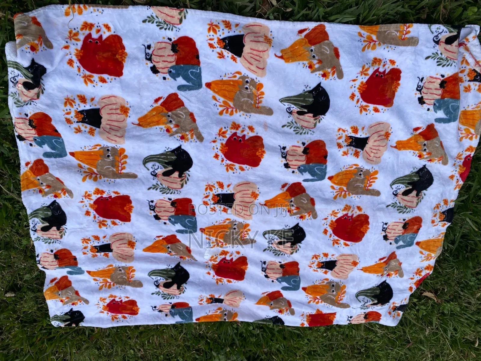 Baby Blankets