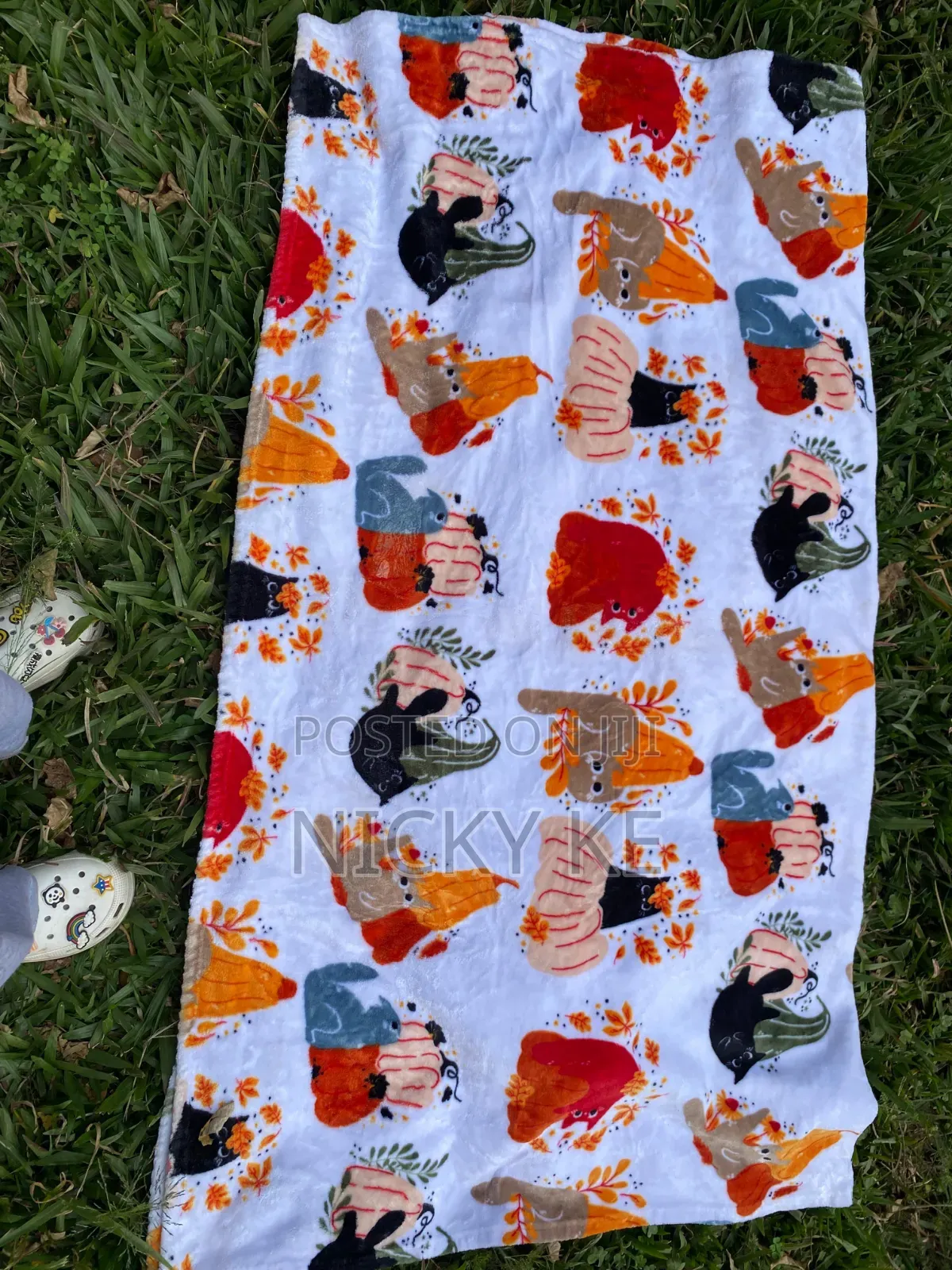 Baby Blankets