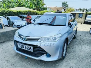 Toyota Axio 2016 Silver