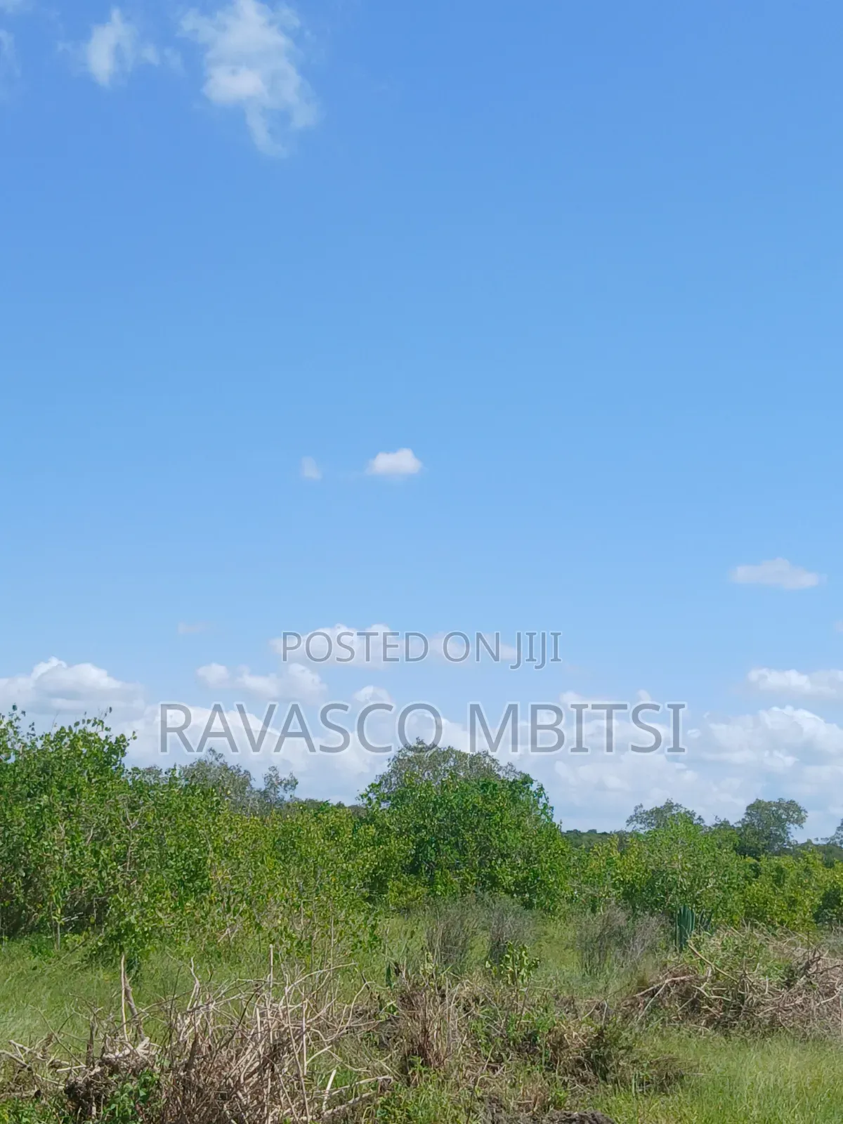 30 Acres Forsale in Malindi Jay's Near to Tangini Primary School.