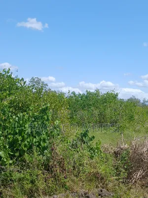 30 Acres Forsale in Malindi Jay's Near to Tangini Primary School.