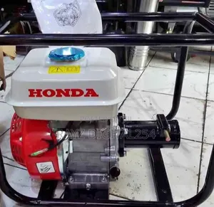 Concrete Vibrator/High Quality Honda Vibrator