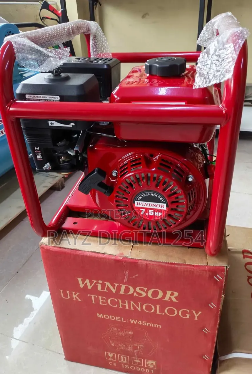 High Quality Windsor Poker Vibrator/Complete Concrete Poker Vibrator