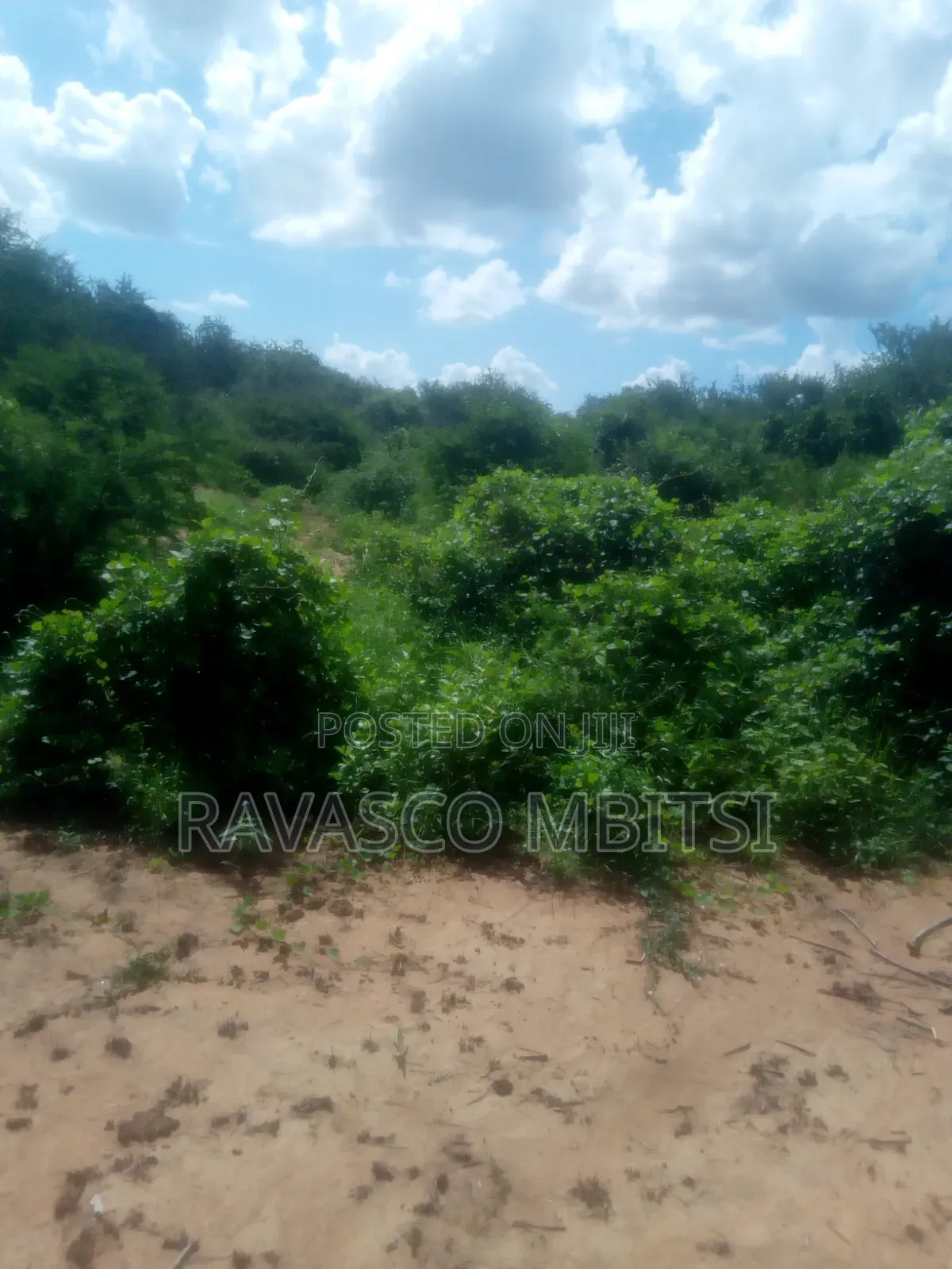 200 Acres Forsale in Malindi Baricho