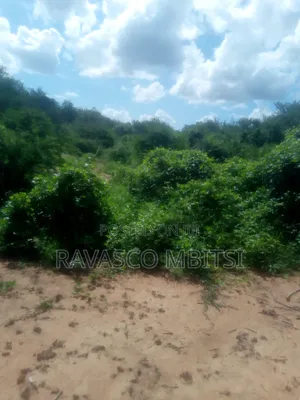 200 Acres Forsale in Malindi Baricho