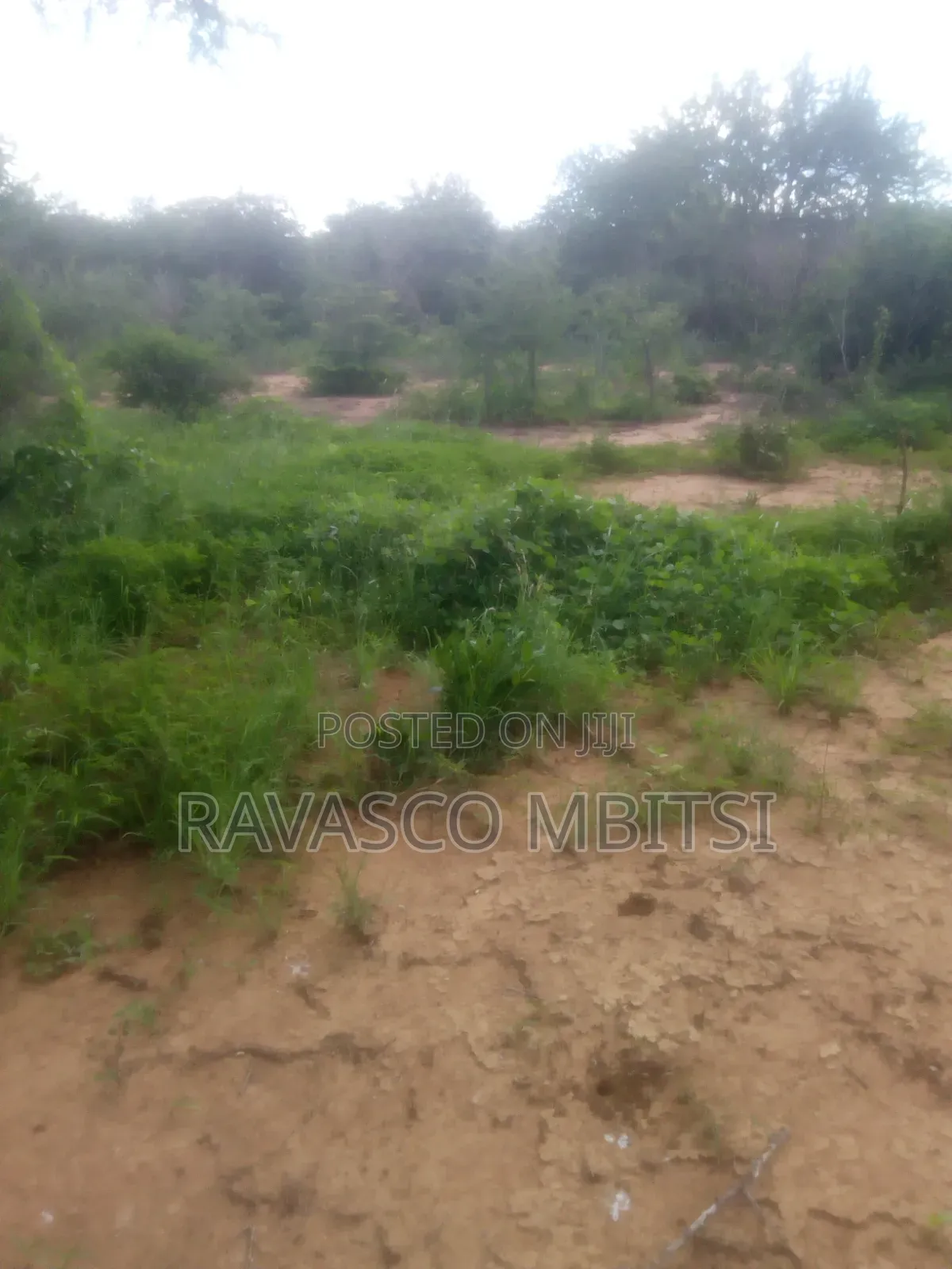 200 Acres Forsale in Malindi Baricho