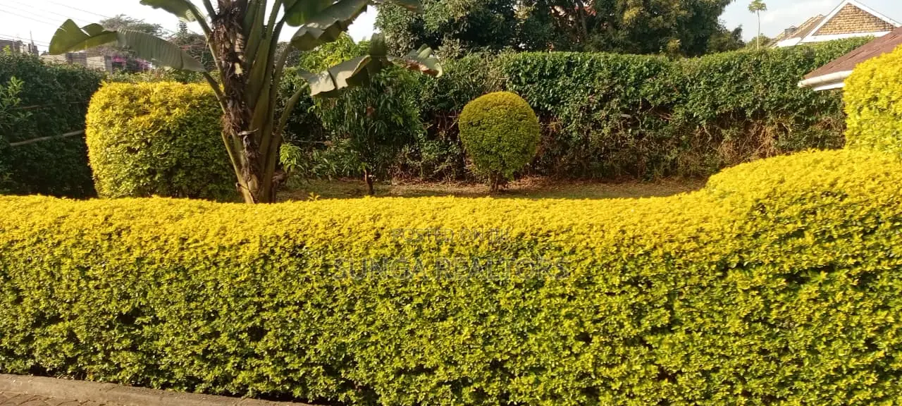 4bdrm House in Kitisuru for rent