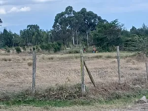 4 Prime Acrea Nanyuki Behind Airstrip Near Op Abdeare Cottages