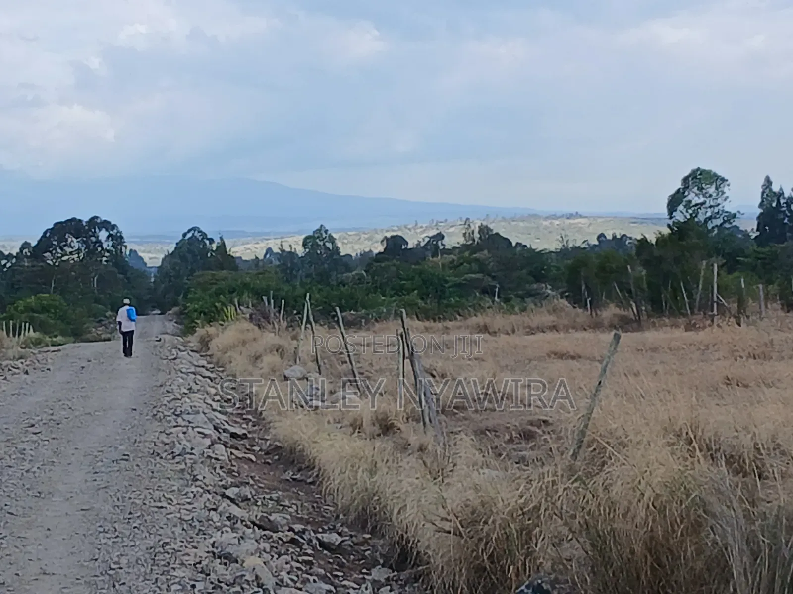 4 Prime Acrea Nanyuki Behind Airstrip Near Op Abdeare Cottages