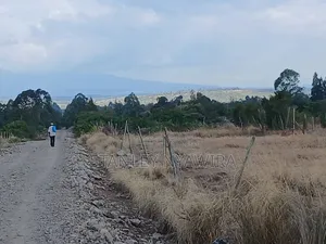 4 Prime Acrea Nanyuki Behind Airstrip Near Op Abdeare Cottages