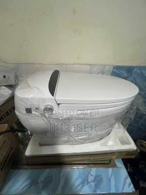 Smart Toilet