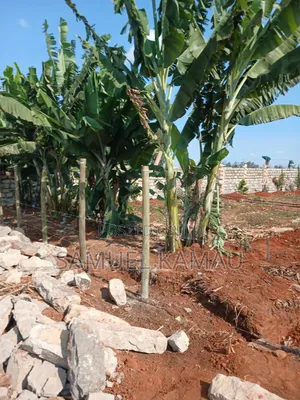 Thika, Maguguni, 1/4 Acre, 2nd Row From Tarmac