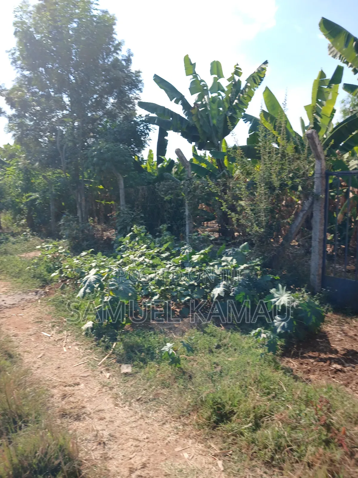 Thika, Maguguni, 1/4 Acre, 2nd Row From Tarmac