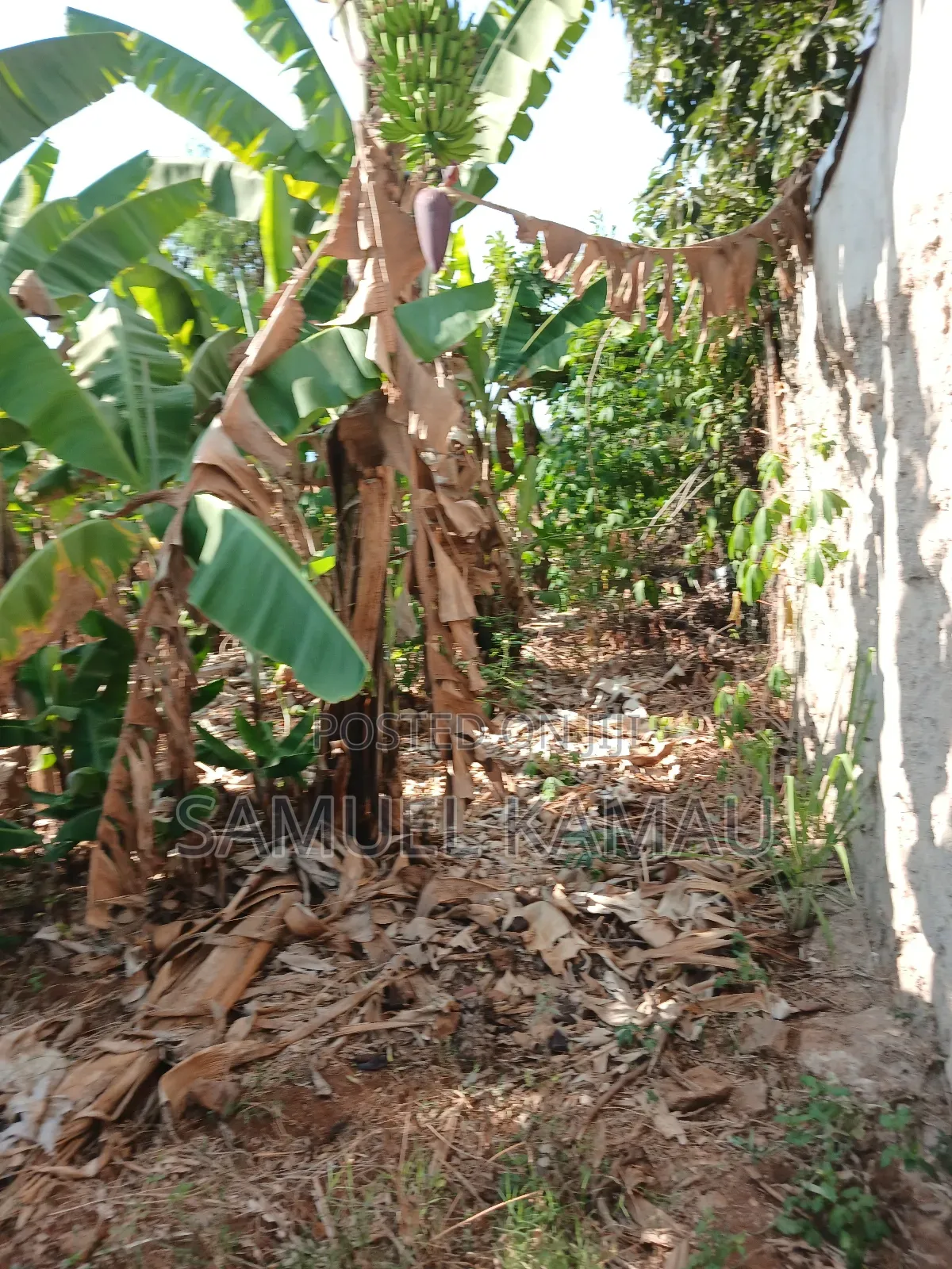 Thika, Maguguni, 1/4 Acre, 2nd Row From Tarmac