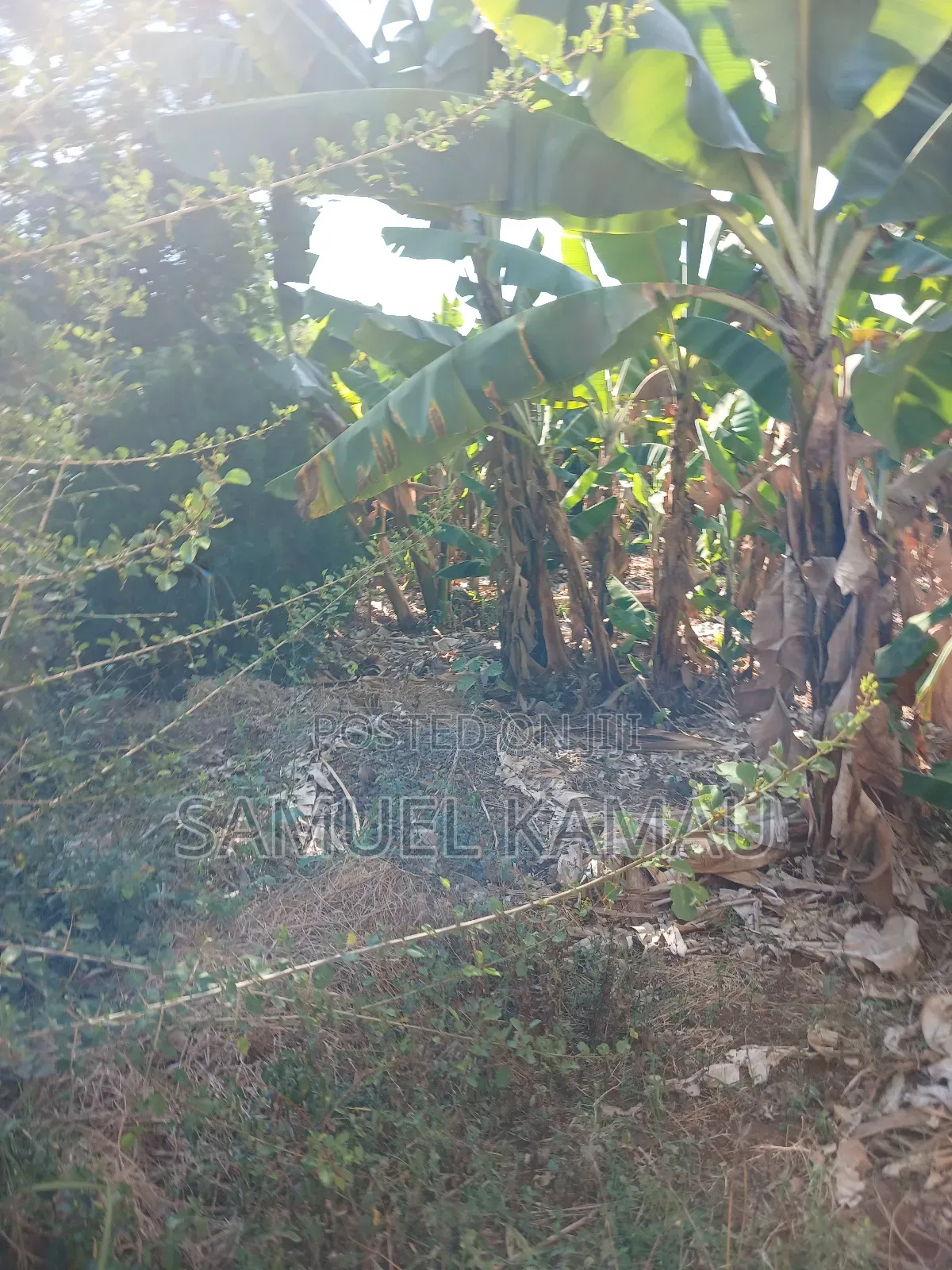 Thika, Maguguni, 1/4 Acre, 2nd Row From Tarmac