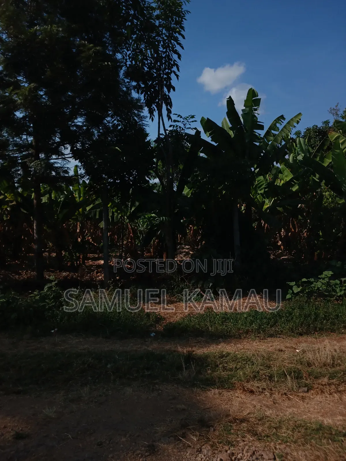 Thika, Maguguni, 1/4 Acre, 2nd Row From Tarmac