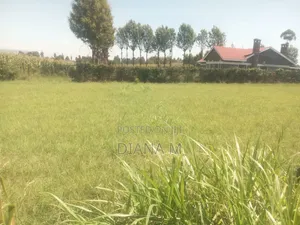 50*100 Plot for Sale at St Gabriel in a Gated Community