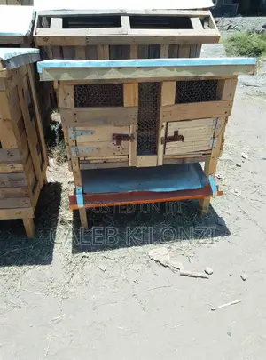 Rabbit Hutch