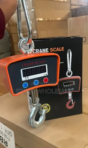 Crane 500kg Scale
