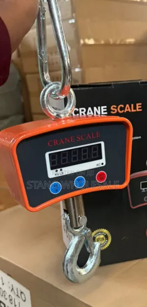 Crane 500kg Scale