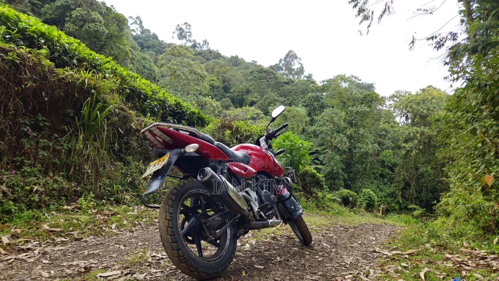 Bajaj Pulsar 180 2009 Red
