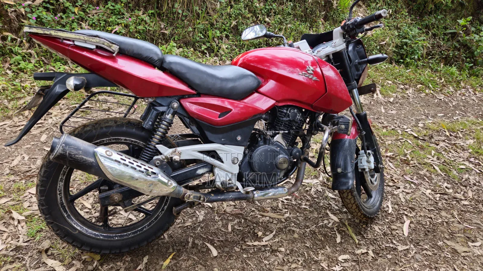 Bajaj Pulsar 180 2009 Red