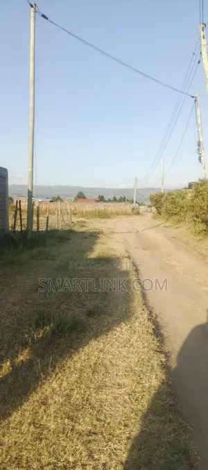 50 by 100 Plot in Greenstead.