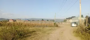 50 by 100 Plot in Greenstead.