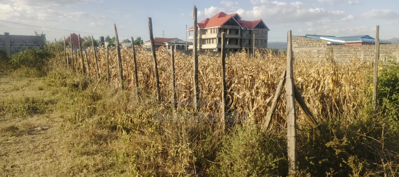 50 by 100 Plot in Greenstead.