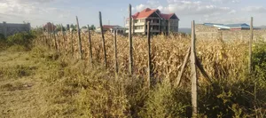 50 by 100 Plot in Greenstead.