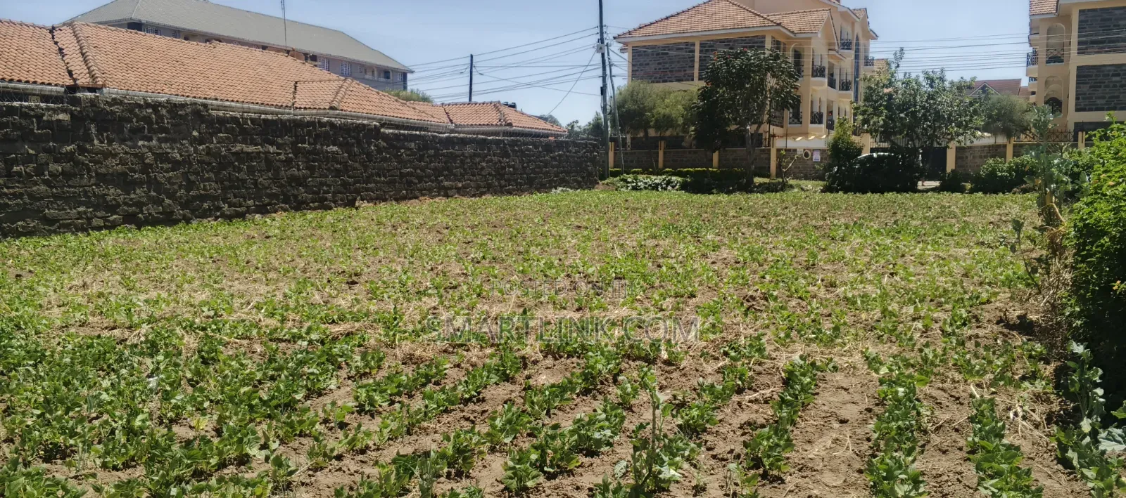 1/4 Acre in Naka Estate.