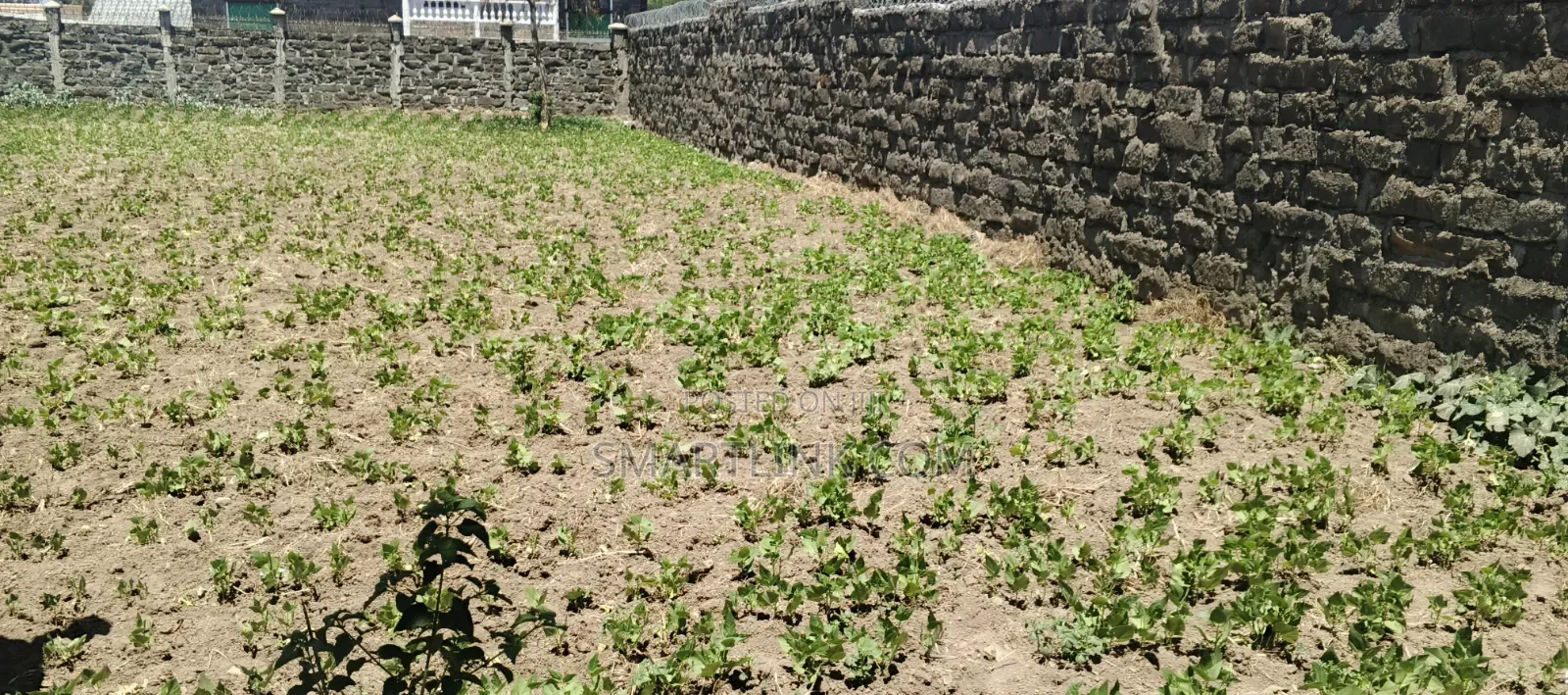 1/4 Acre in Naka Estate.