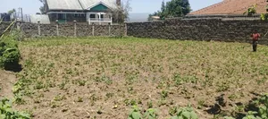 1/4 Acre in Naka Estate.