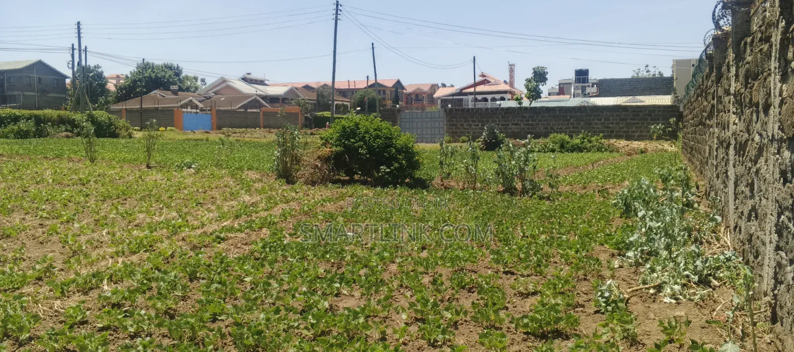 1/4 Acre in Naka Estate.