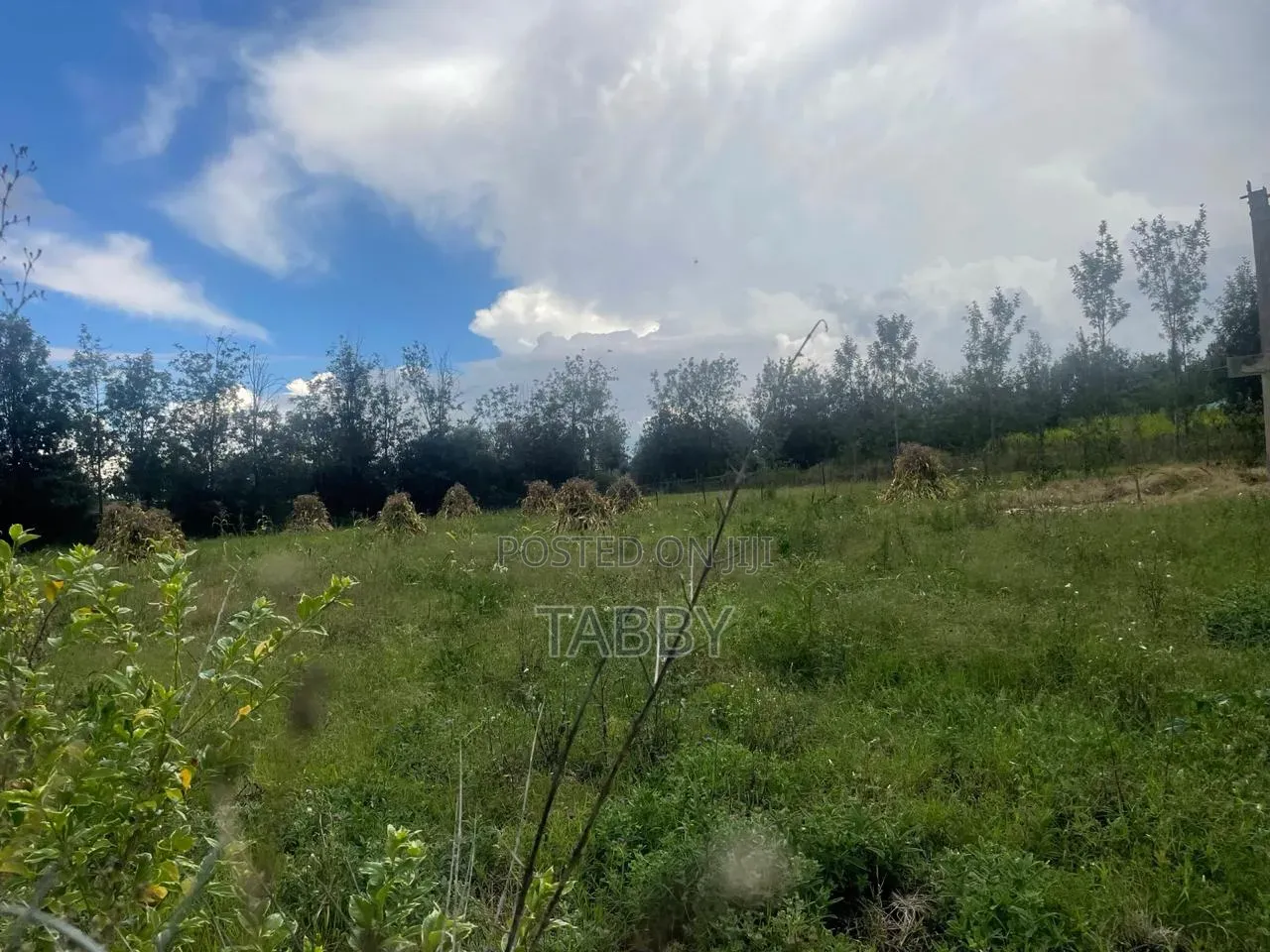 0.5acre in Kiserian Near Brookhurst School