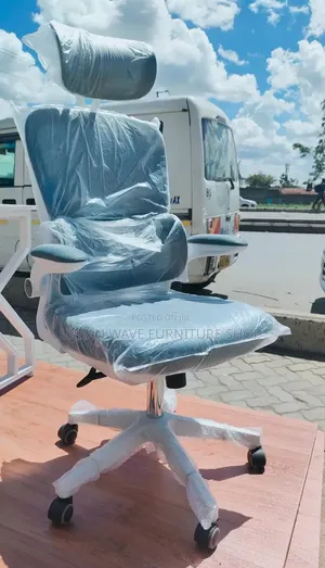 Orgonomic Chairs