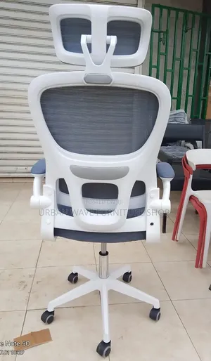 Orgonomic Chairs