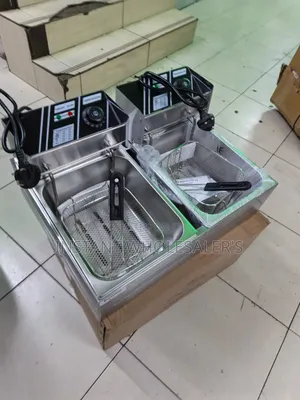 Quality Double Professional Fryer