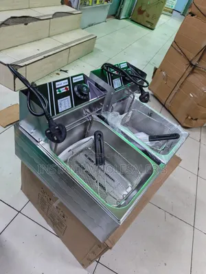 Quality Double Professional Fryer