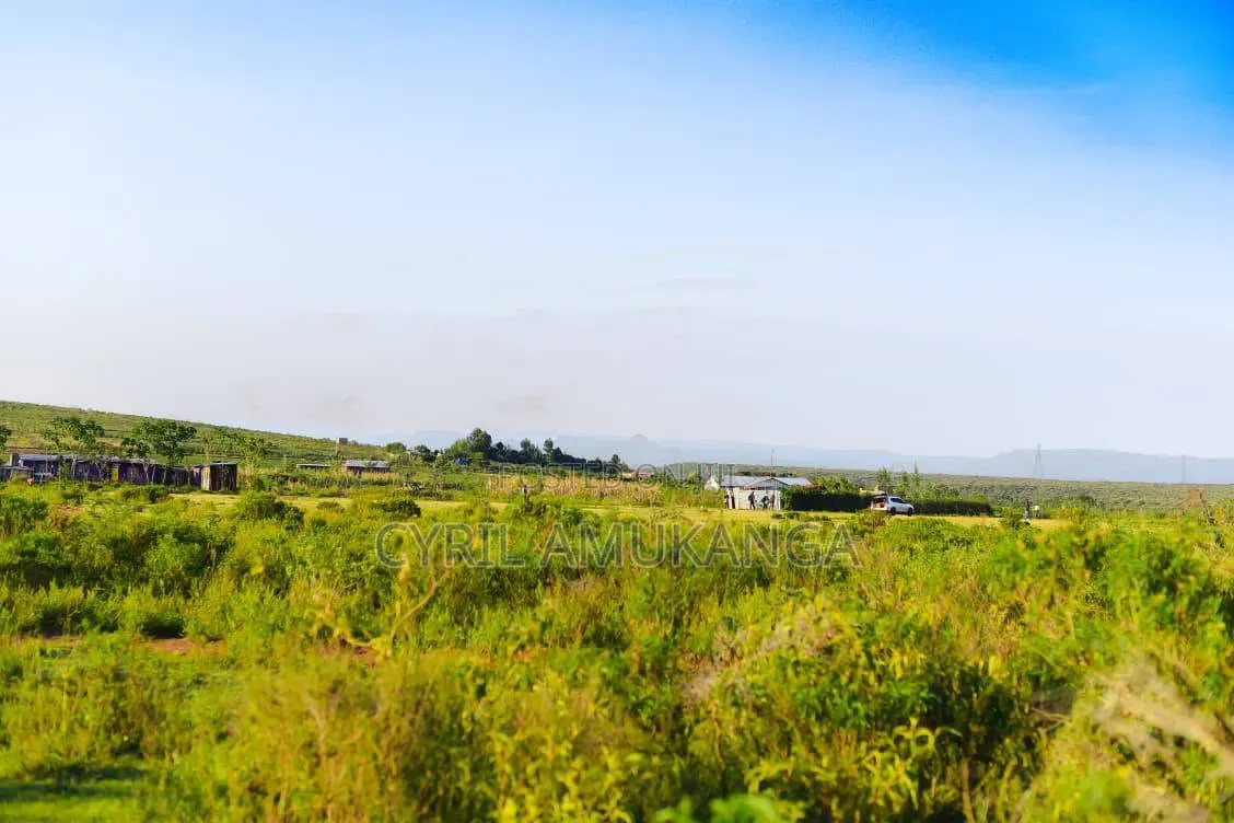 Affordable 50*100 Plots