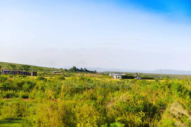 Affordable 50*100 Plots