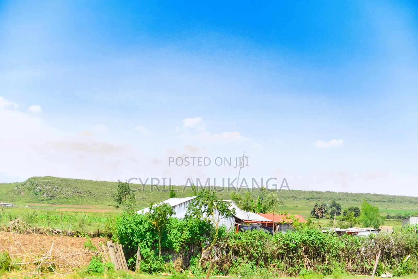 Affordable 50*100 Plots