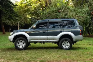 Toyota Land Cruiser Prado 1996 Gray